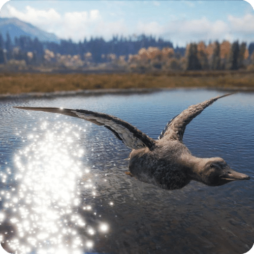 theHunter Call of the Wild - Duck and Cover Pack DLC Steam Key Global