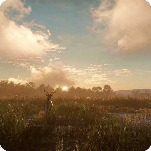 theHunter Call of the Wild Mississippi Acres Preserve DLC Steam Key