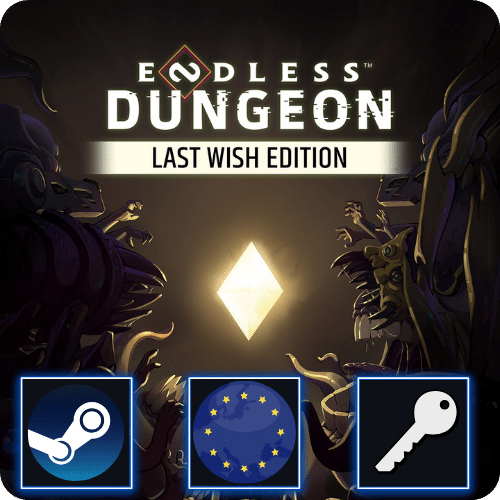Endless Dungeon Last Wish Edition (PC) Steam CD Key Europe