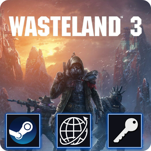 Wasteland 3 (PC) Steam Klucz Global