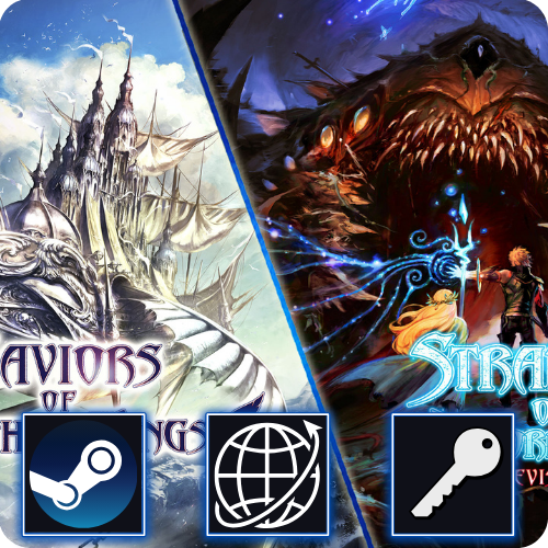 Saviors of Sapphire Wings/Stranger of Sword City Revisited Steam Key Global
