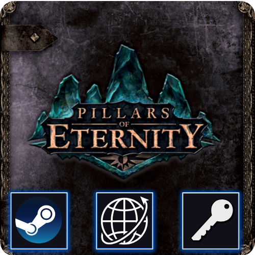 Pillars of Eternity Champion Edition (PC) Steam Klucz Global