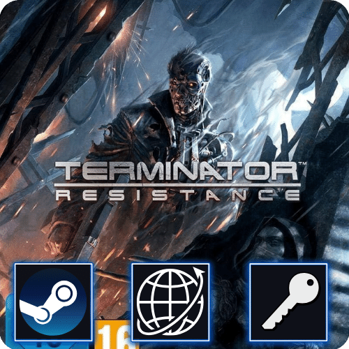 Terminator Resistance (PC) Steam CD Key Global